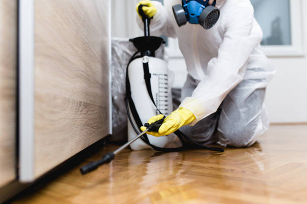 Best Ant Control Services  in Knoxvle, IL