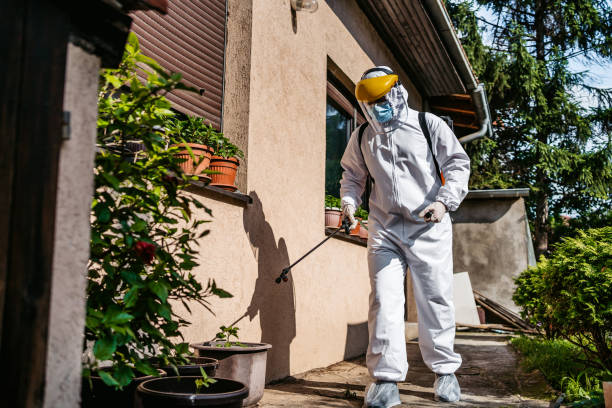 Best Pest Control Treatment  in Knoxvle, IL