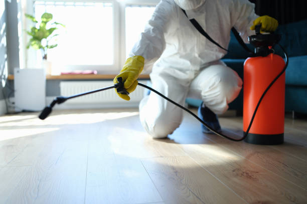 Best Insect Control  in Knoxvle, IL