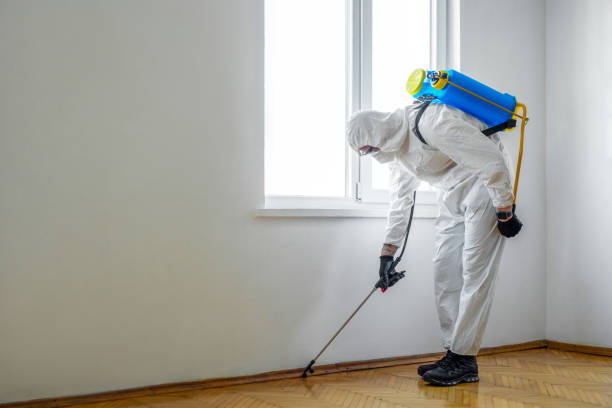 Best Local Pest Control Services  in Knoxvle, IL