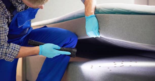 Pest Control Cost in Knoxville, IL