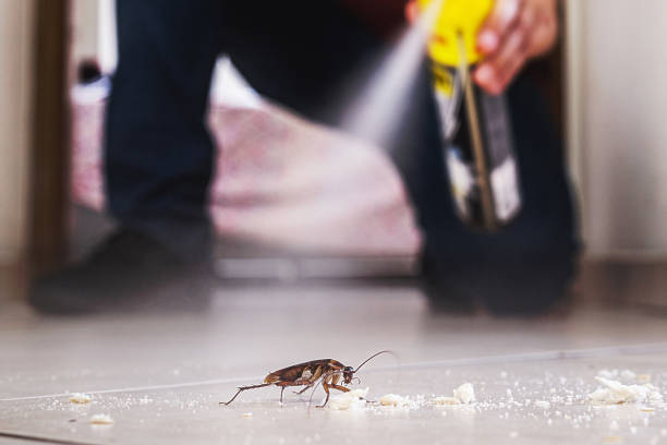 Best Pest Control for Businesses  in Knoxvle, IL