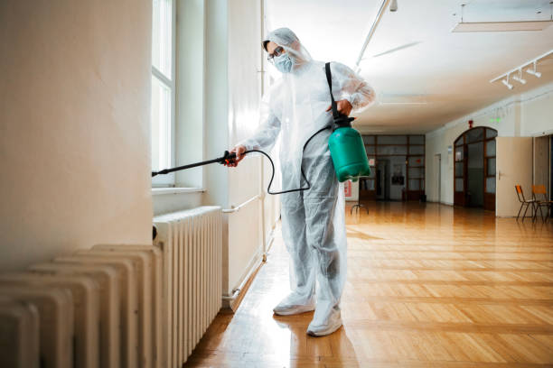 Best Emergency Pest Control  in Knoxvle, IL