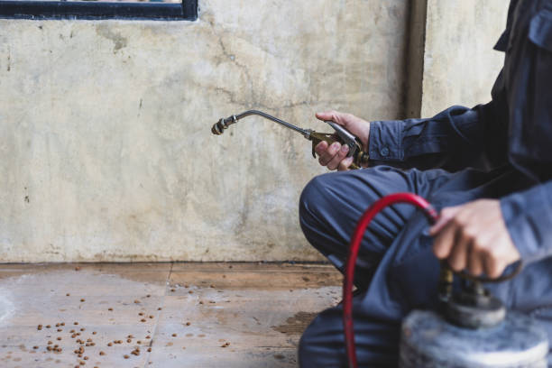 Best Pest Prevention Services  in Knoxvle, IL