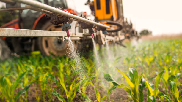Best Ant Control Services  in Knoxvle, IL